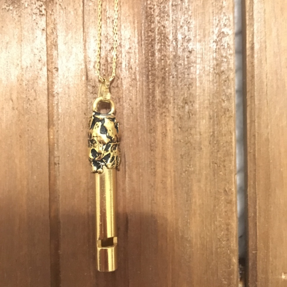 Alex and Ani Whistle Necklace